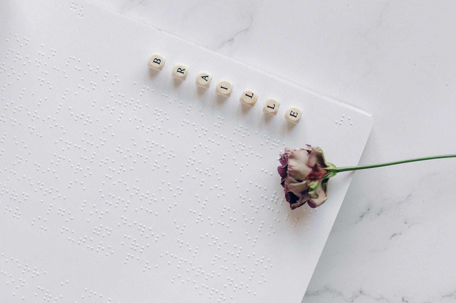 Zbliżenie strony z alfabetem Braille’a i zasuszoną różą